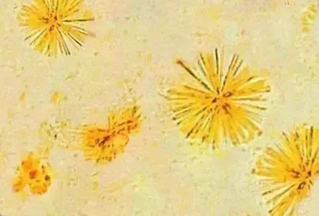 1749452738163525.jpg 1276035cdbea50d974c8c2458a03a8ee.jpg