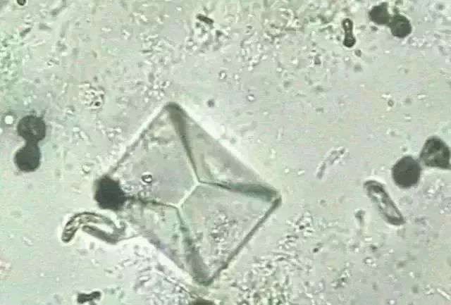 1749452961617307.jpg 3a4a97bf5a3aa365d97cf336835f4ec1.jpg