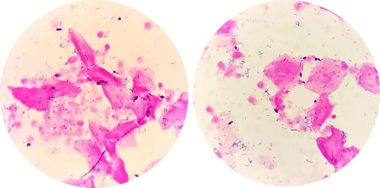 1750819073882978.jpg b52d88125a839c7f0df2071e6bb105bb.jpg