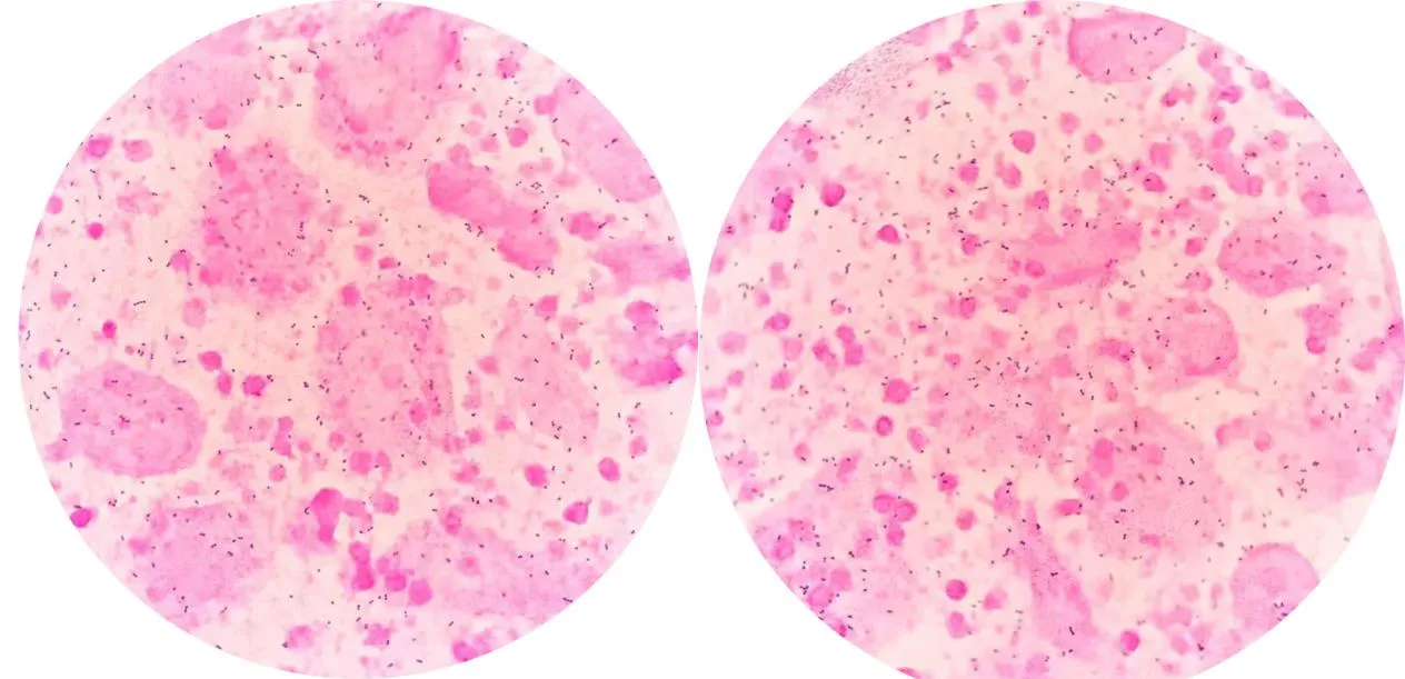 1750819161354662.jpg 768c5634736b2d4a78ecde888d7facda.jpg